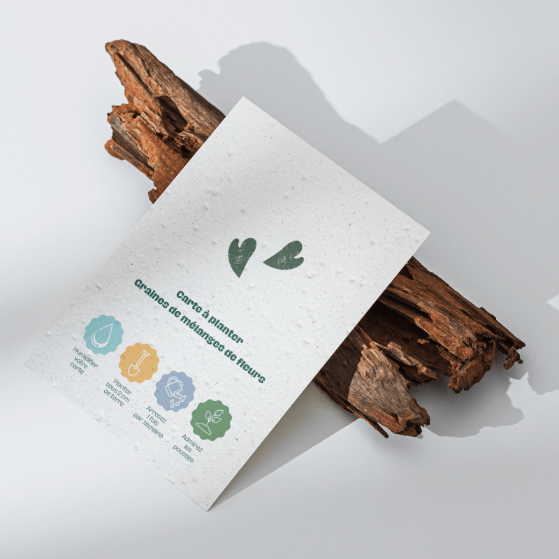 Cartes à planter A6 - 10,5 x 14,8 cm