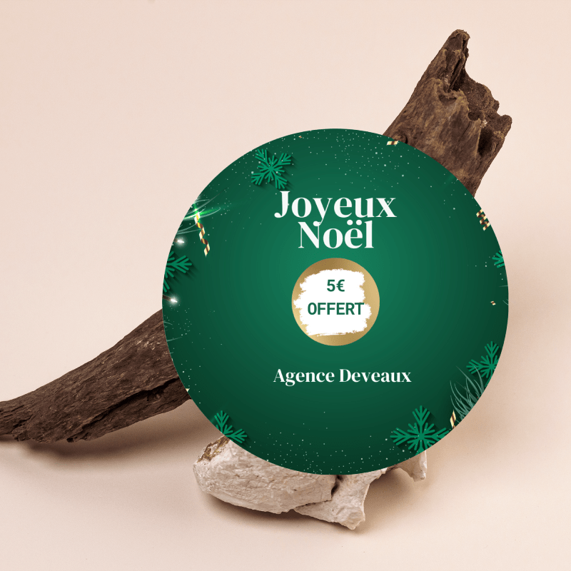 Disque à gratter - 9,5 cm